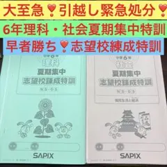 2026年最新】夏期集中志望校錬成特訓の人気アイテム - メルカリ
