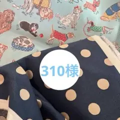 Item thumbnail for item dd1d66ef-e43f-4053-9710-44d0f722d4bf