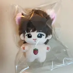 TWS シニュ ぬいぐるみ ドール トレカ パーカー サイン スローガン TWS シニュ ぬいぐるみ ドール トレカ パーカー サイン