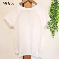INDIVI インディヴィ Tシャツ カットソー 白 ホワイト ワールド