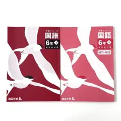 か*ゃ様 四谷大塚予習シリーズ 公立中高一貫校セット 6年 2026年最新】四谷大塚 公立中高一貫の人気アイテム - メルカリ