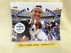 2025年最新】大谷デコピンの人気アイテム - メルカリ