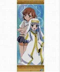 御坂美琴　等身大タペストリー　ドンキホーテ　とある魔術の禁書目録 タペストリー 御坂美琴 等身大タペストリー 「とある科学の超