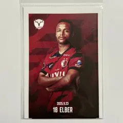 鹿島アントラーズ 25 鹿印紙 第31節 エウベル