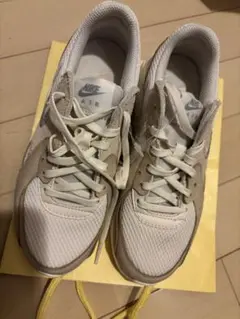 Nike Air Max スニーカー