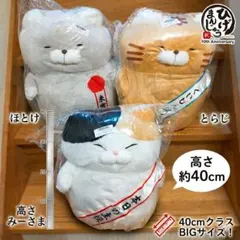 みーさま専用 2026年最新】みーさん商品の人気アイテム - メルカリ