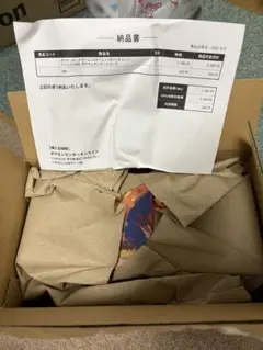 ヒロシマリニューアル記念スペシャルboxのプロモカードのトウホクのピカチュウ