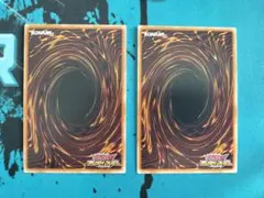 ゆかりぷうさん スーパーウォーライオン