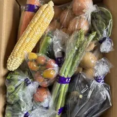 新鮮野菜詰め合わせセット　80サイズ　野菜セット　無農薬野菜のサムネイル