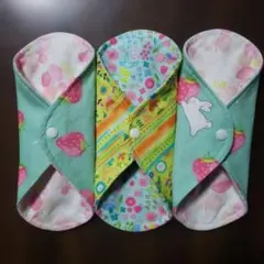 Item thumbnail for item be233386-b9b0-4b38-9add-5467b67e6641