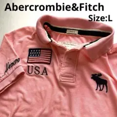 「訳あり」Abercrombie&Fitch刺繍半袖ポロL ※小さなシミ多数あり