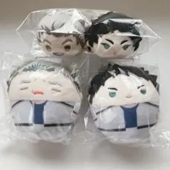 ハイキュー ふわコロりんSpecial しょぼくれ　もちます　木兎　赤葦　セット