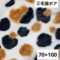 三毛猫柄ボア生地 三毛猫柄 フェイクファー 【希少品】現品限り！9