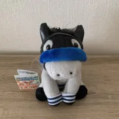 競馬】クロフネ（ジャパンカップダート）ぬいぐるみアイドルホースS