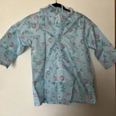 Item thumbnail for item 7fcf4117-2730-4749-9de0-a873b3fe49e9