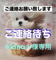 ＊kina＊様専用　マルチーズちゃん　トートバッグ　小物入れ