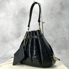 希少美品】 クロコダイル　ショルダーバッグ　シャイニング　クロコ　ワニ革　巾着