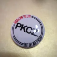 PKCZ 缶バッジ HIGH&LOW