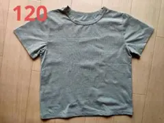 Item thumbnail for item 55506fd3-6ac4-4a35-aa08-75e0e5af4ce9