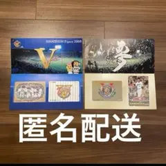 リゾートライン★フリーきっぷ★シー24周年★期限切れリゾラ