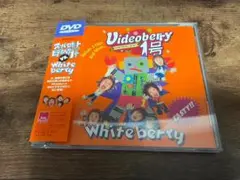 ホワイトベリーWhiteberry DVD「Videoberry1号」●