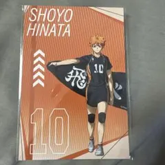 ハイキュープラザ 特典 日向翔陽