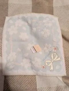 Item thumbnail for item cd411ca1-2698-42cc-9b34-593cf64af672