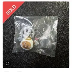 専用ページ