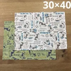 ランチョンマット　ランチクロス　30×40 2枚セット