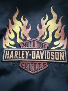 2025年最新】Harley-Davidson フレイムの人気アイテム - メルカリ