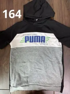 PUMA パーカー　半袖　164cm 黒　グレー