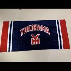 甲子園 横浜高校 タオル うちわ 野球部 YOKOHAMA横高 応援グッズ 希少