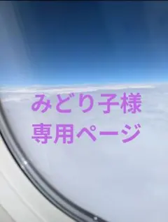 みどり子様 リクエスト 2点 まとめ商品