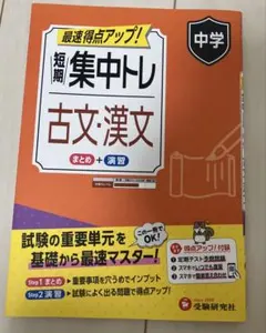 古文漢文 標準問題集 中学　書き込み等なし