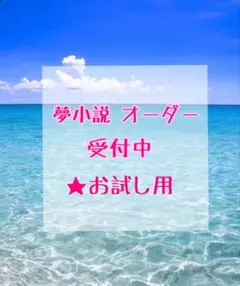 夢小説 お試し用 オーダー 受付中