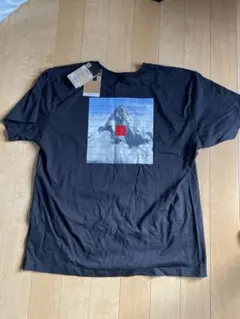 THE NORTH FACE 山のグラフィック Tシャツ XL 黒