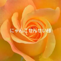 にゃんこせんせい様 リクエスト 3点 まとめ商品