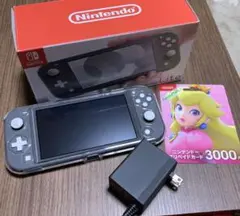 Nintendo Switch Lite グレー オマケ付き
