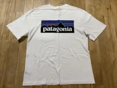 patagonia ホワイト Tシャツ Sサイズ