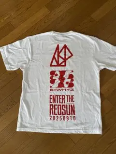 激レア！】会場限定 ONE172 武尊 VS ロッタン Tシャツ - メルカリ
