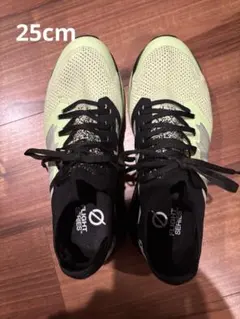 極美品 28 ザ ノースフェイス スニーカー フライト ベクティブ ガード Amazon | [ザノースフェイス] トレイルランニングシューズ W