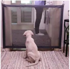 Item thumbnail for item 9e02508a-8f65-4fb9-a0fc-a0683e6d192b