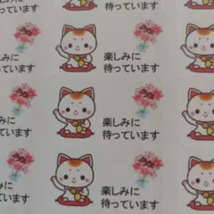 #09 まねき猫　うさぎさん　懸賞応募シール　130枚