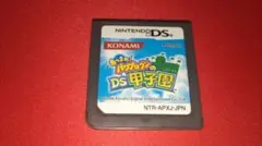 あつまれ!パワプロクンのDS甲子園