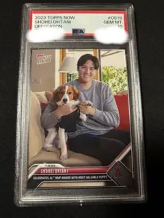 2025年最新】大谷翔平 カード psa10の人気アイテム - メルカリ