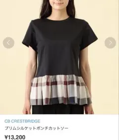 美品　クレストブリッジ　プリムシルケットポンチカットソーＭ　黒
