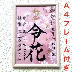 手書きオーダー命名書　代筆　命名紙　出産祝い　記念品　フレーム付き　匿名配送