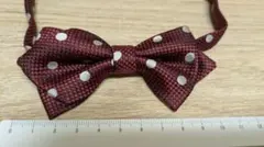 赤と白の水玉 蝶ネクタイとポケットチーフ