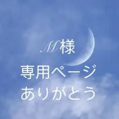 M様専用ページ　69g
