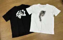 クロスアンドクロス ハグオーワー生活のたのしみ展 石田ゆり子ハニオT